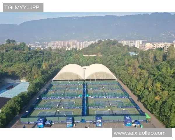 重庆网球队在全运会积分榜上以76分稳居第一名表现出色 重庆网球队在全运会积分榜上以76分稳居第一名表现出色