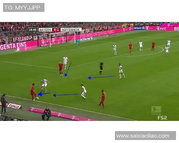 广州排球队反击战术深度解析与实战应用探讨