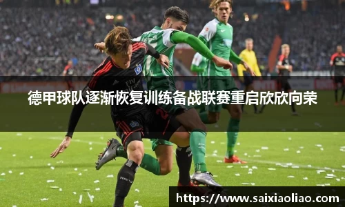 德甲球队逐渐恢复训练备战联赛重启欣欣向荣