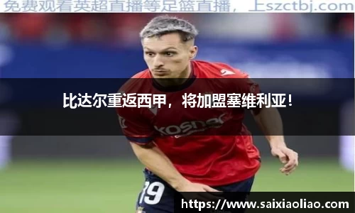 WE真人视讯平台