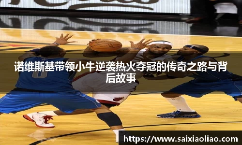 诺维斯基带领小牛逆袭热火夺冠的传奇之路与背后故事
