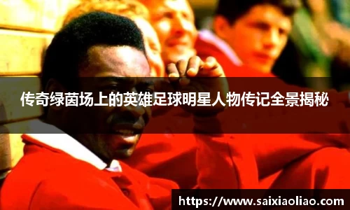 WE真人视讯平台