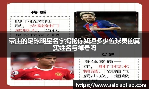 WE真人视讯平台